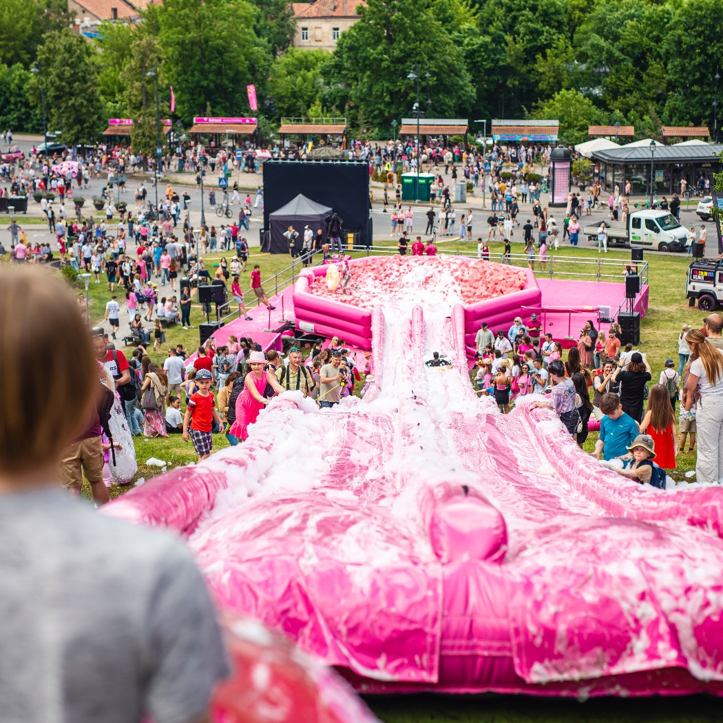 Mėnuo iki trečiojo Vilniaus šaltibarščių festivalio: ko tikėtis iš pačios beprotiškiausios rožinės šventės