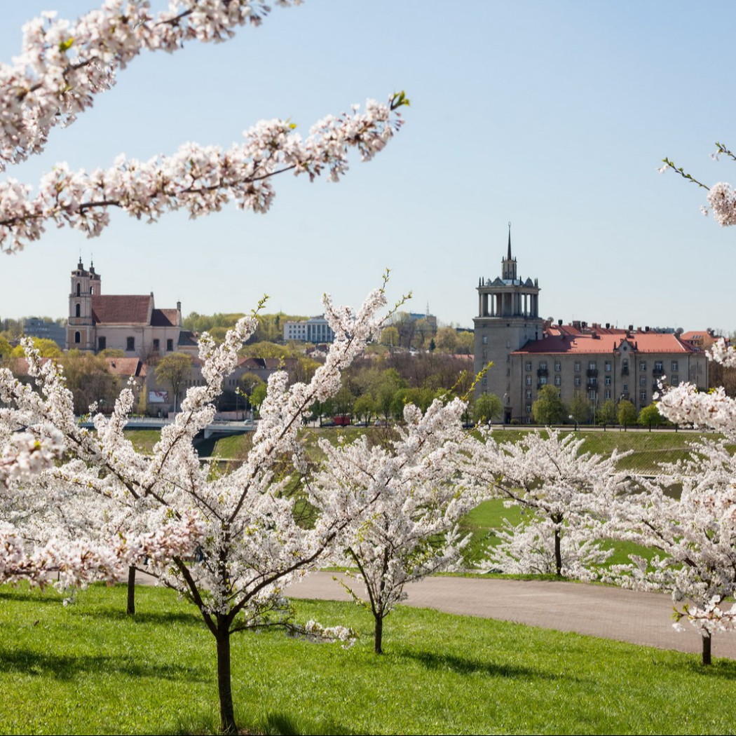 Tauche in den Sommer mit dem Vilnius Pass ein 