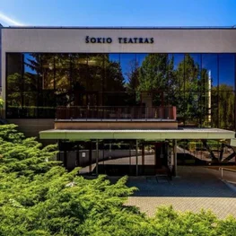 Šokio teatras