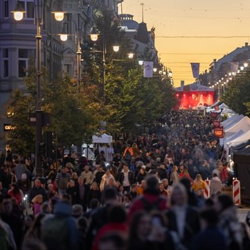 Vilnius City Fiesta