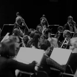The Symphony Orchestra of the LNOBT