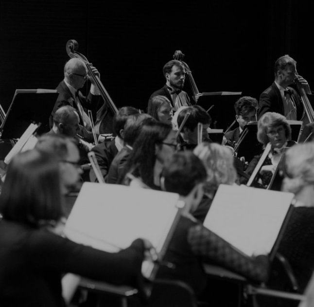 The Symphony Orchestra of the LNOBT