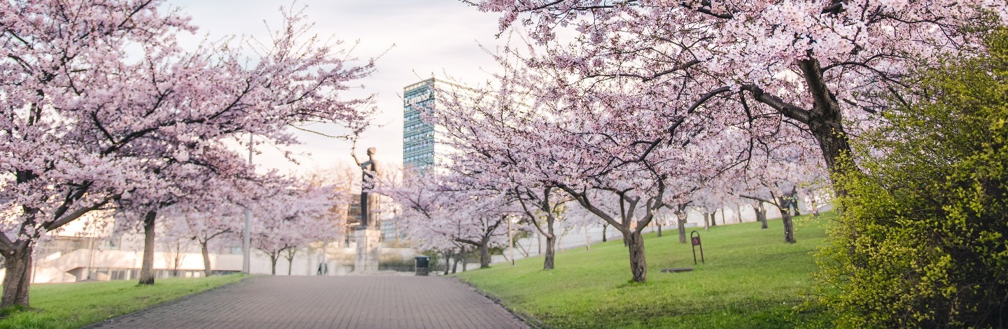 Spring in Vilnius