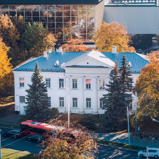 Kunstmuseum von Vytautas Kasiulis