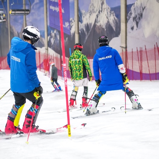 Vilnius Wins Global Bid for the 2028 Winter Sports Congress