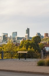 Get a Free Consultation