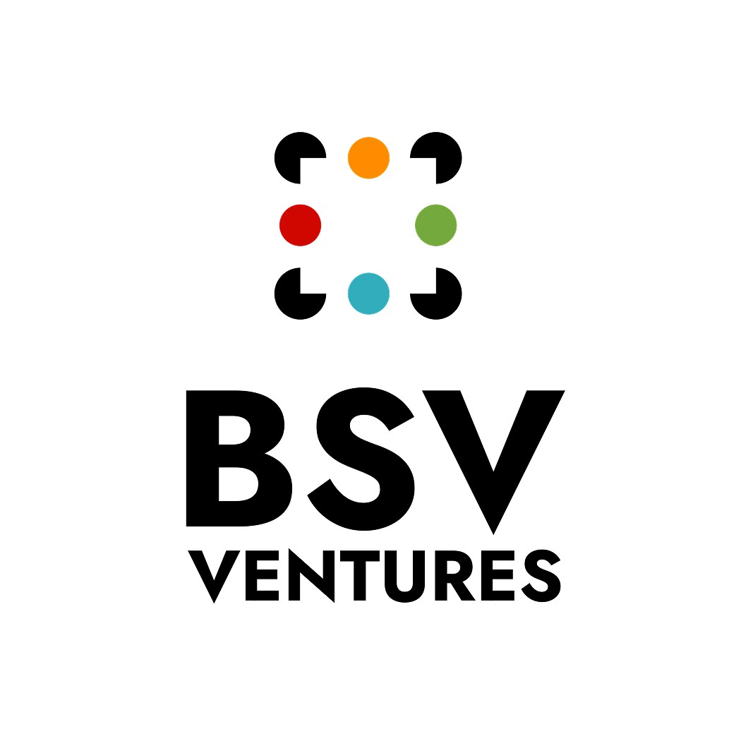 BSV Ventures