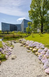 Sustainable Meetings