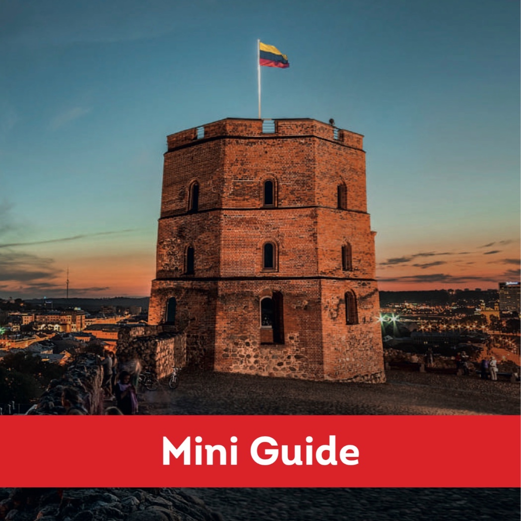 Vilnius Mini Guide