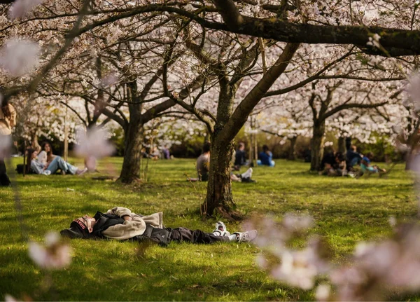 Discover Vilnius in Spring