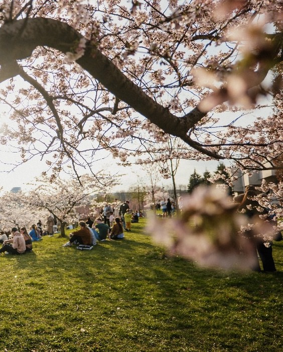 VILNIUS: unexpectedly amazing