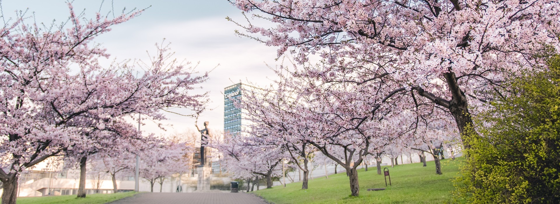 Europe’s Best-Kept Secret: Vilnius