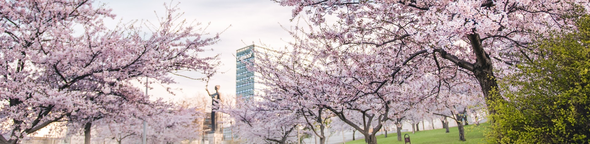 Prekės ženklo rinkinys