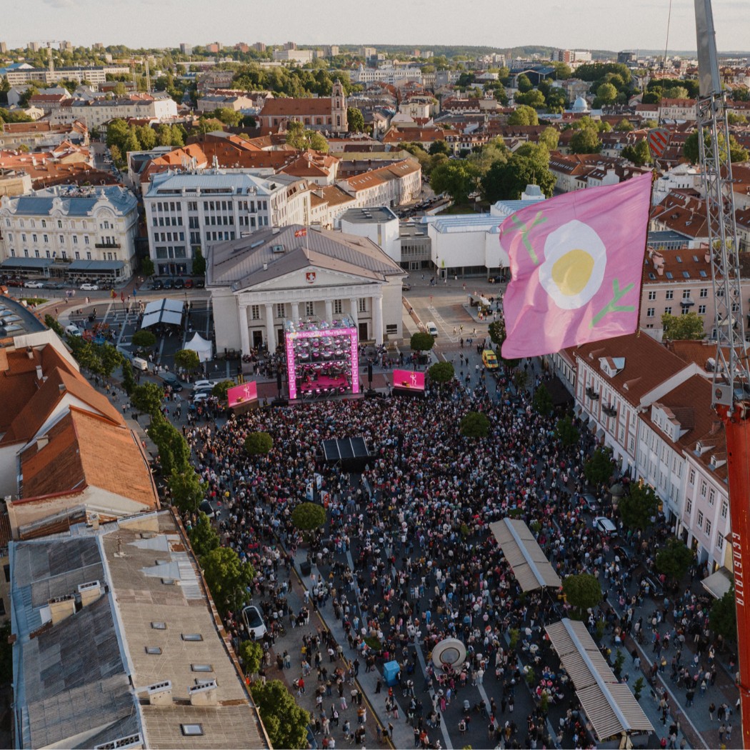 Partnerysčių projektų vadovas (-ė) 