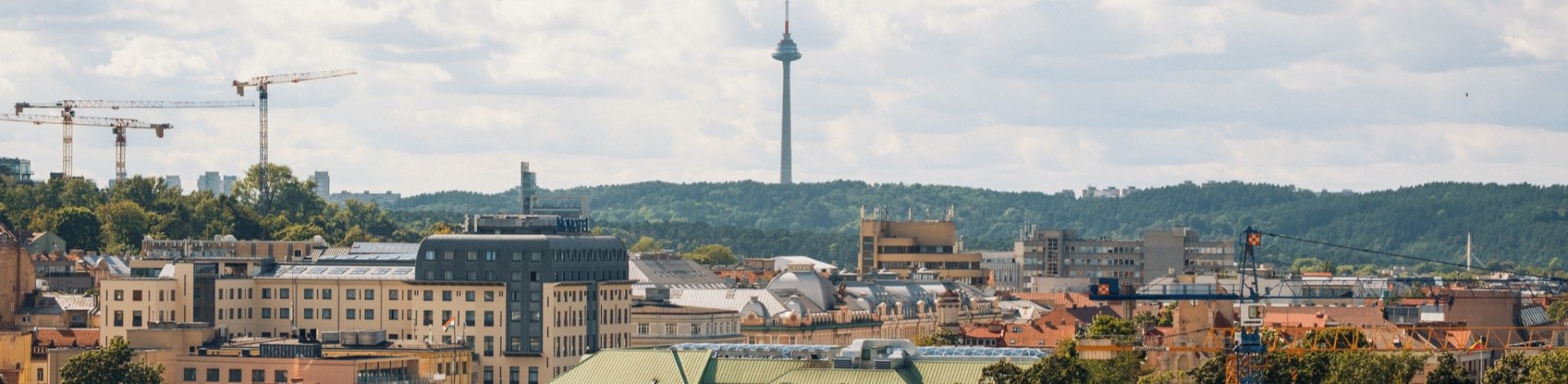 Get the Vilnius Investment Brief