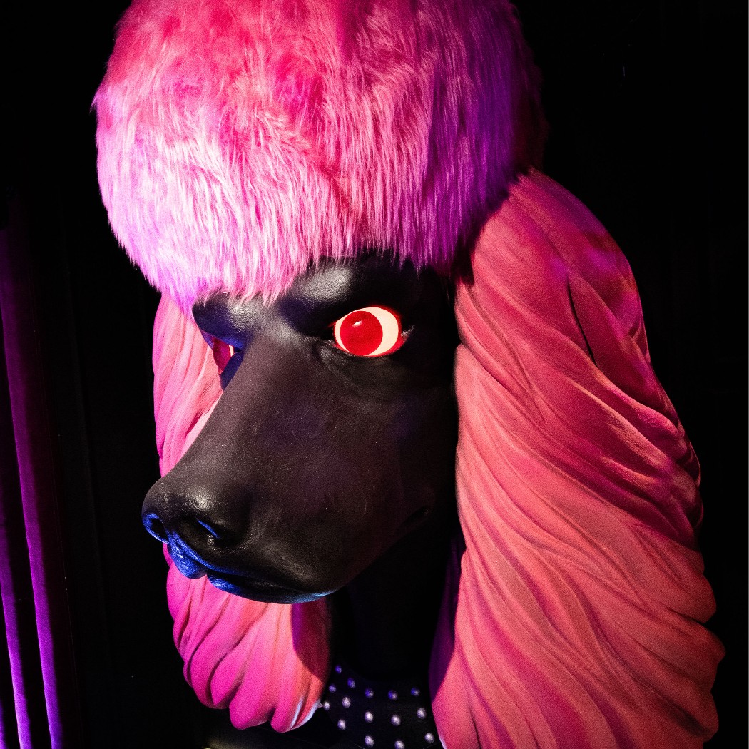 Pink Poodle Vilnius