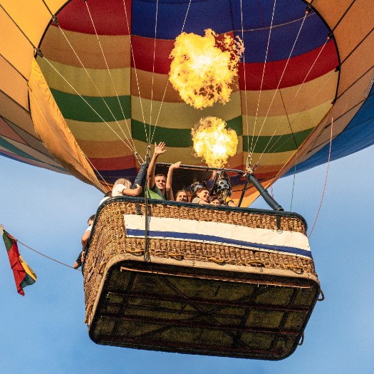 Meška balione / balloon.lt Hot Air Balloon Flights