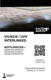 Cultural Night in Vilnius | Vilnius / Lviv interlinked