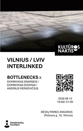 Kultūros naktis | Vilnius / Lviv interlinked