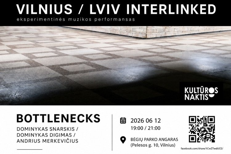 VILNIUS / LVIV INTERLINKED