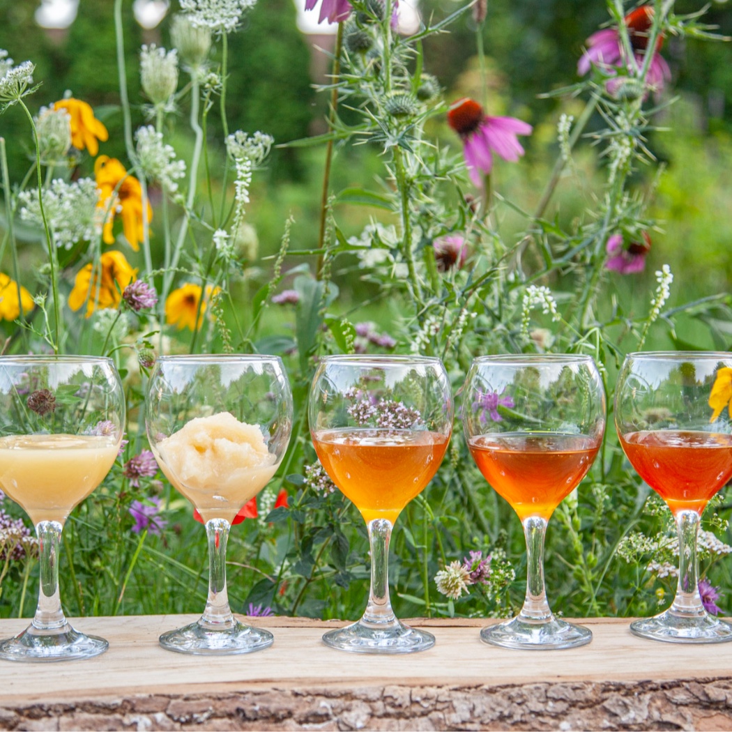 Meet the Bees of Vilnius 