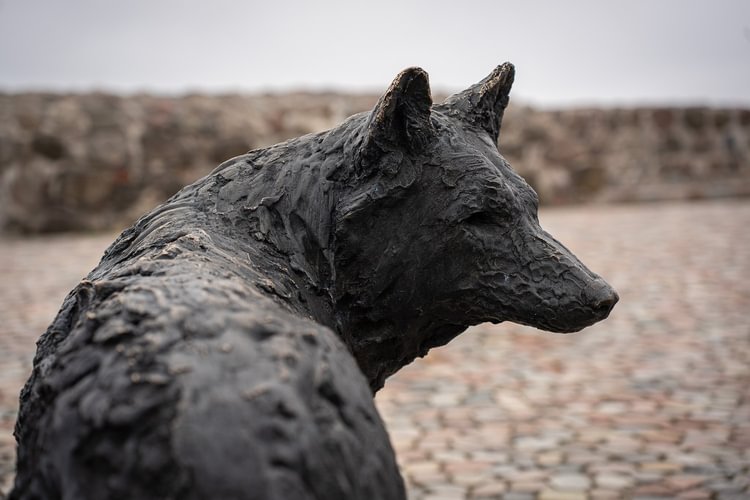 The Wolf Sculpture on Gediminas Hill
