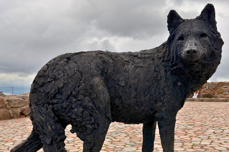 The Wolf Sculpture on Gediminas Hill