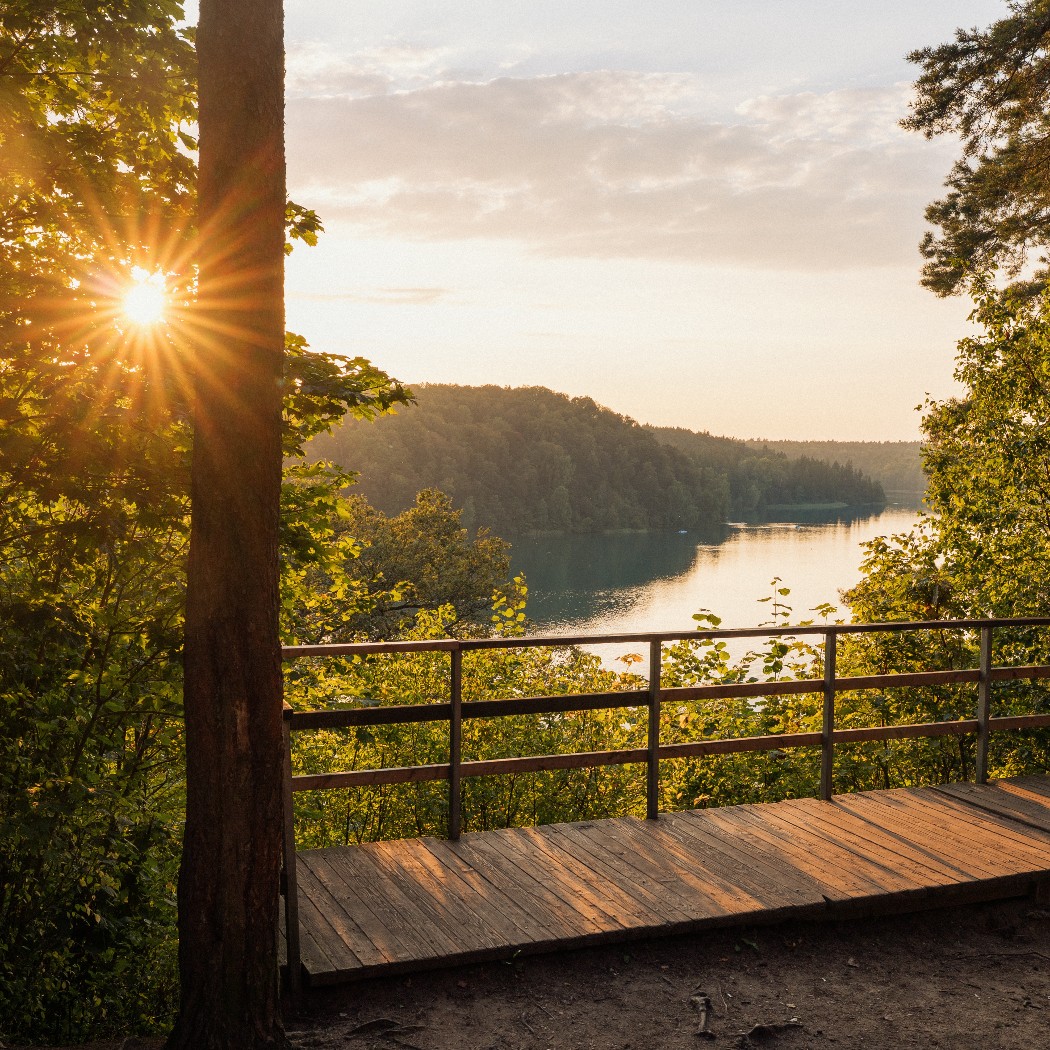 Vilnius Turns Forest Bathing Into City Break as UK Research Points to Health Benefits