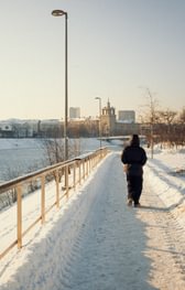 Free Guided Tours