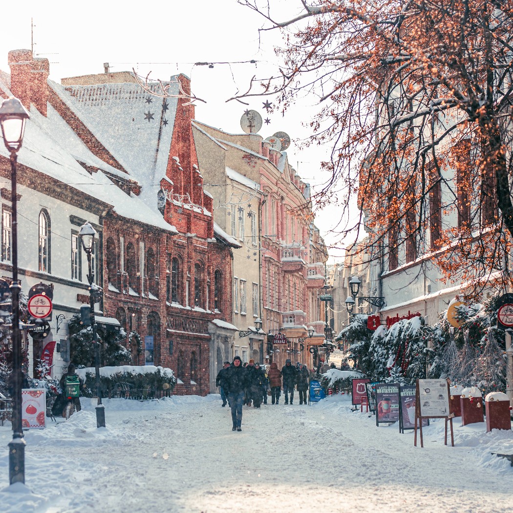 Vilnius Swaps the Christmas Rush for Europe’s Slowest Marathon