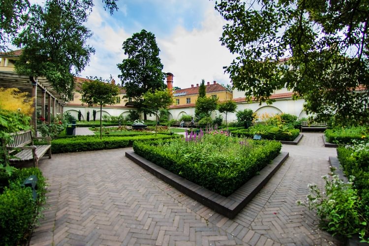 Nuotraukos